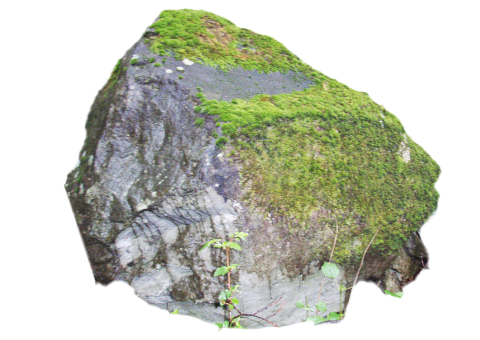 苔付石の石の写真